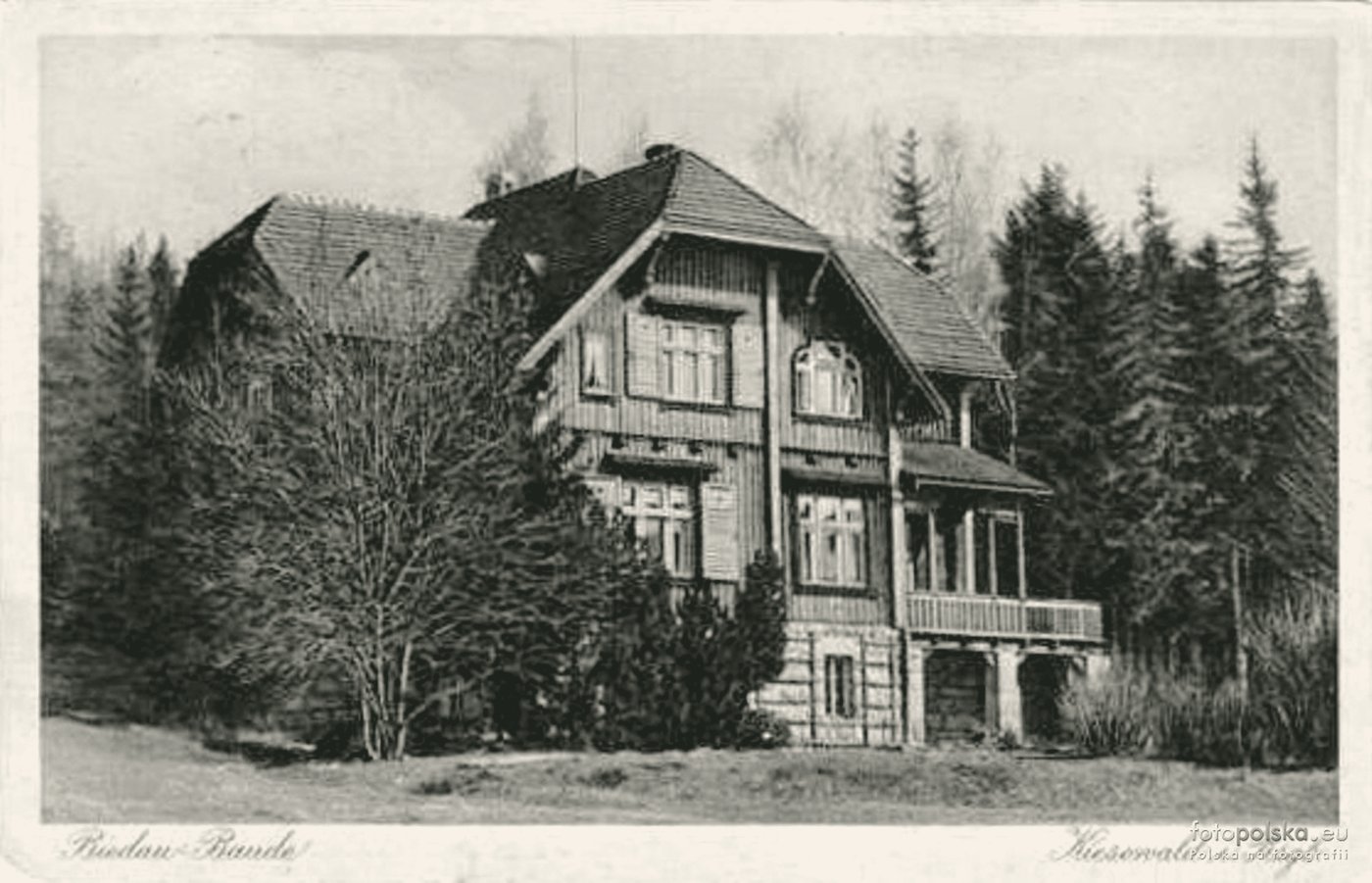 Biedau-Baude wśród świerków, pocztówka z 1927 roku